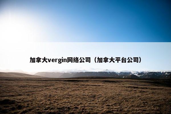 加拿大vergin网络公司（加拿大平台公司）