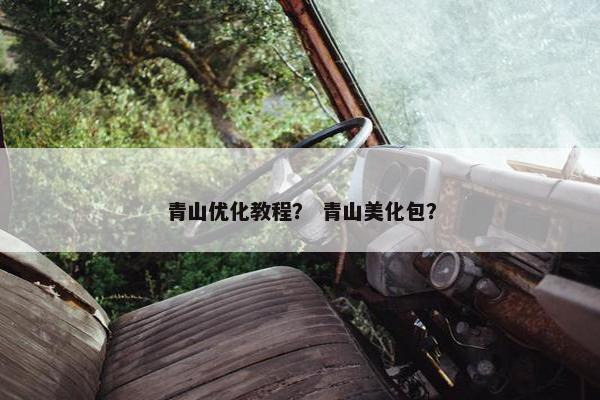 青山优化教程？ 青山美化包？