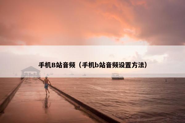 手机B站音频（手机b站音频设置方法）