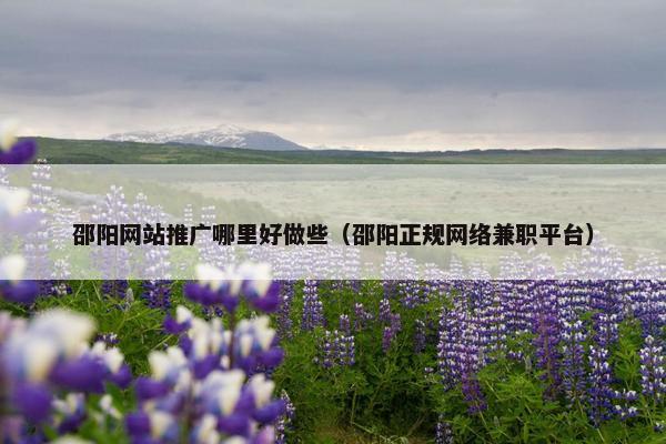 邵阳网站推广哪里好做些（邵阳正规网络兼职平台）