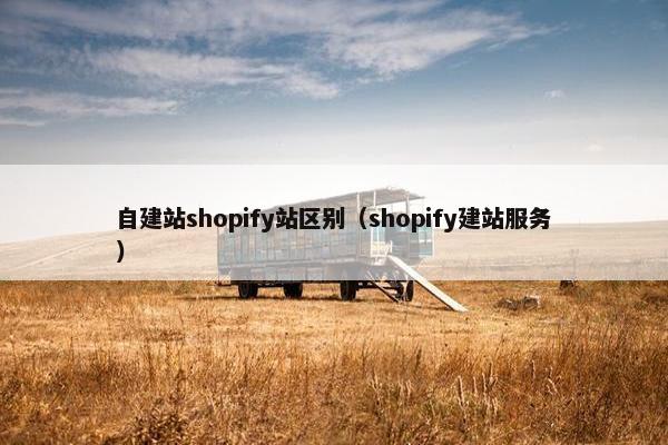 自建站shopify站区别（shopify建站服务）