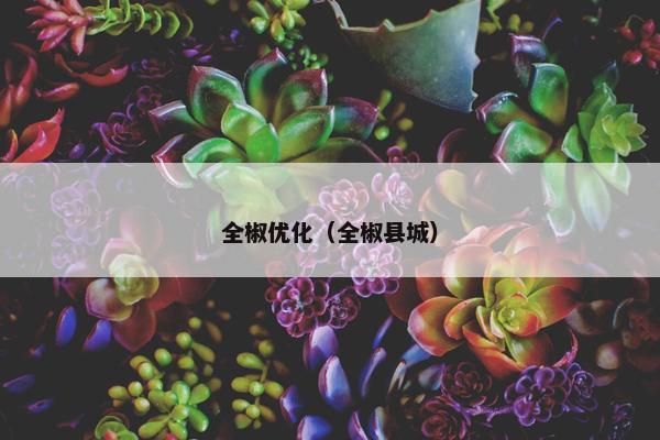 全椒优化（全椒县城）