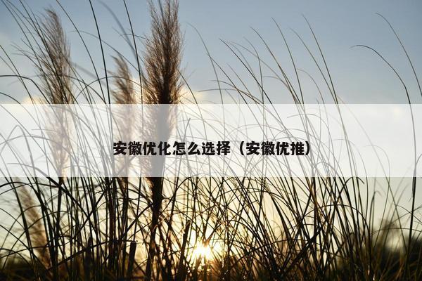安徽优化怎么选择（安徽优推）