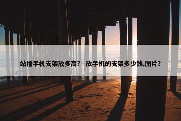 站播手机支架放多高？ 放手机的支架多少钱,图片？