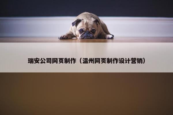 瑞安公司网页制作（温州网页制作设计营销）