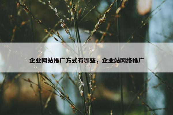 企业网站推广方式有哪些，企业站网络推广