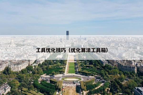工具优化技巧（优化算法工具箱）