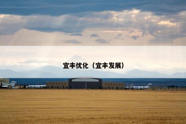 宜丰优化（宜丰发展）