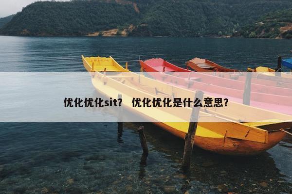 优化优化sit？ 优化优化是什么意思？