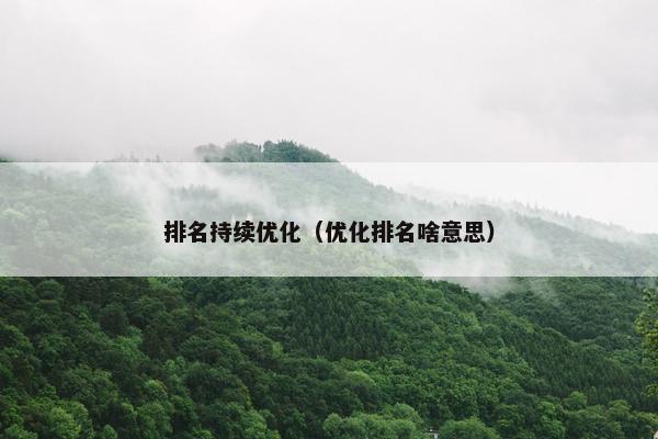 排名持续优化（优化排名啥意思）