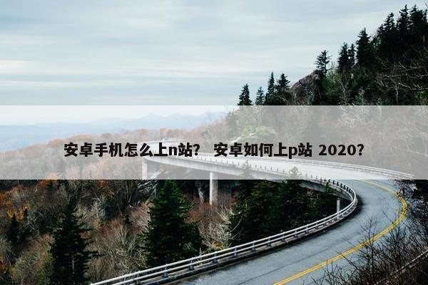 安卓手机怎么上n站？ 安卓如何上p站 2020？