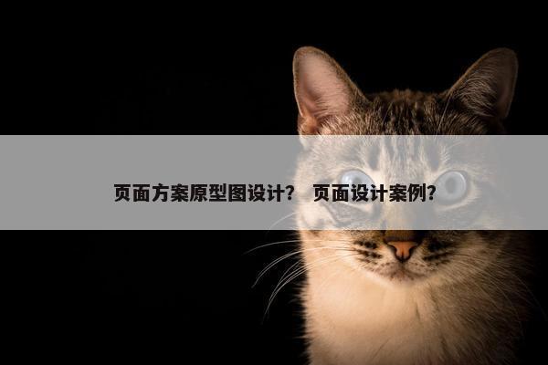 页面方案原型图设计？ 页面设计案例？