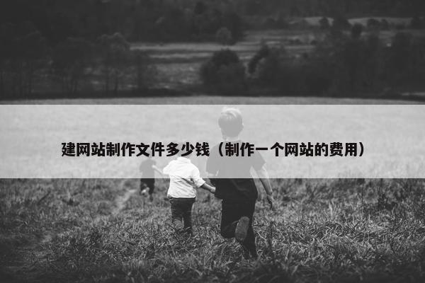 建网站制作文件多少钱（制作一个网站的费用）