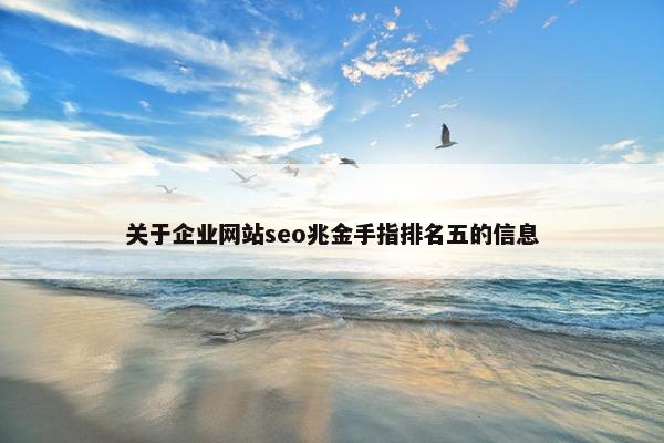 关于企业网站seo兆金手指排名五的信息