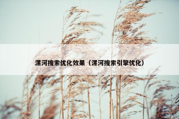 漯河搜索优化效果（漯河搜索引擎优化）