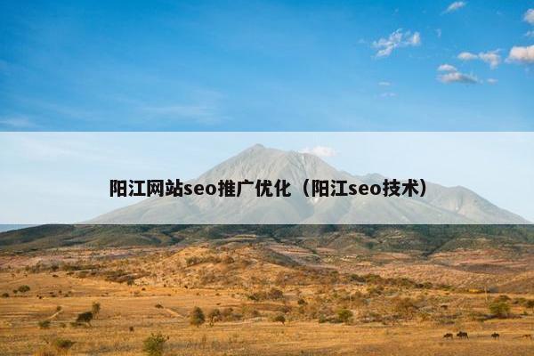 阳江网站seo推广优化（阳江seo技术）