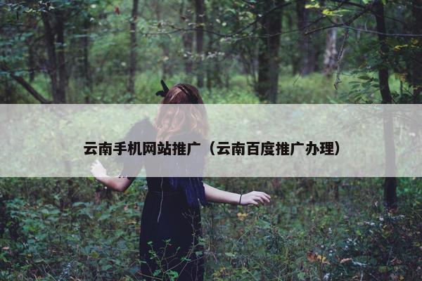 云南手机网站推广（云南百度推广办理）