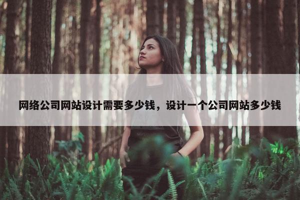 网络公司网站设计需要多少钱，设计一个公司网站多少钱