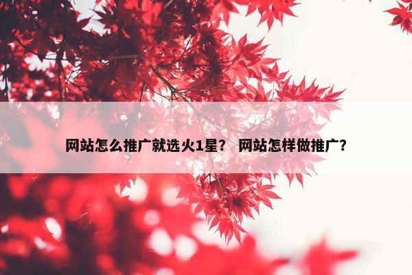 网站怎么推广就选火1星？ 网站怎样做推广？