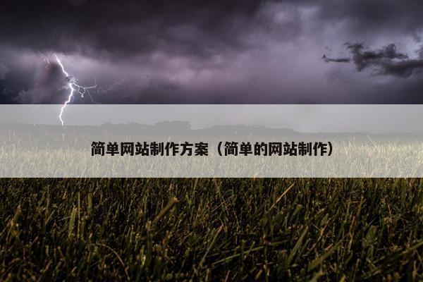 简单网站制作方案（简单的网站制作）
