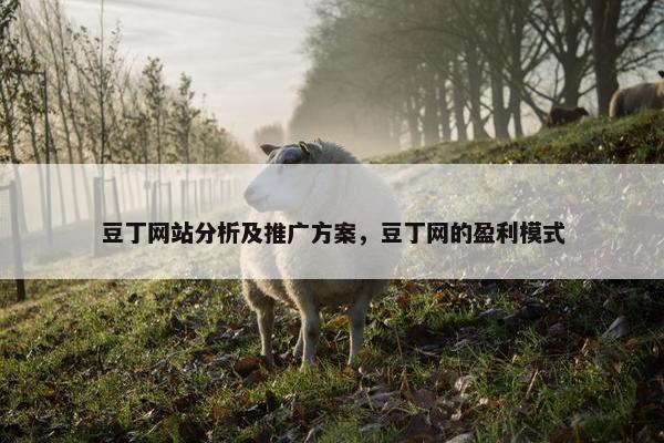 豆丁网站分析及推广方案，豆丁网的盈利模式