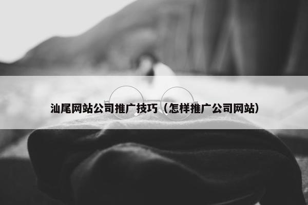 汕尾网站公司推广技巧（怎样推广公司网站）