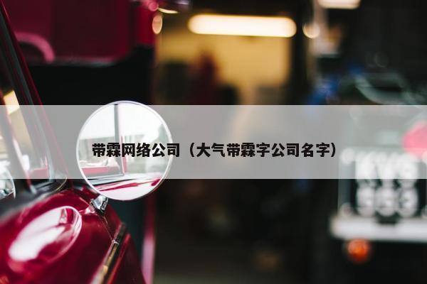 带霖网络公司（大气带霖字公司名字）