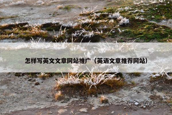 怎样写英文文章网站推广（英语文章推荐网站）
