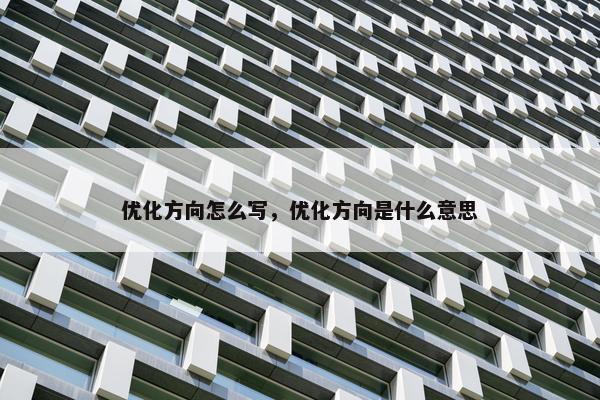 优化方向怎么写，优化方向是什么意思