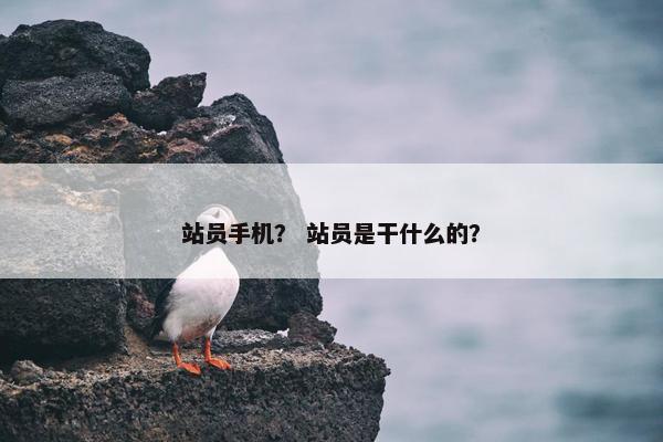 站员手机？ 站员是干什么的？