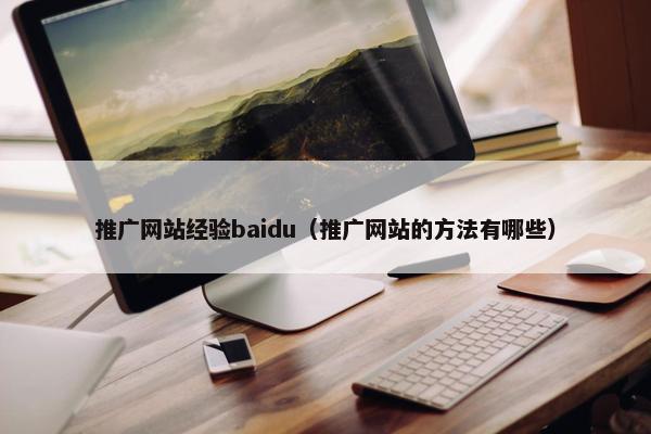 推广网站经验baidu（推广网站的方法有哪些）