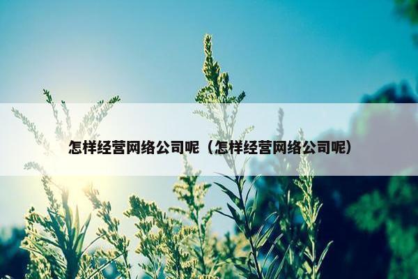 怎样经营网络公司呢（怎样经营网络公司呢）
