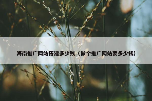 海南推广网站搭建多少钱（做个推广网站要多少钱）