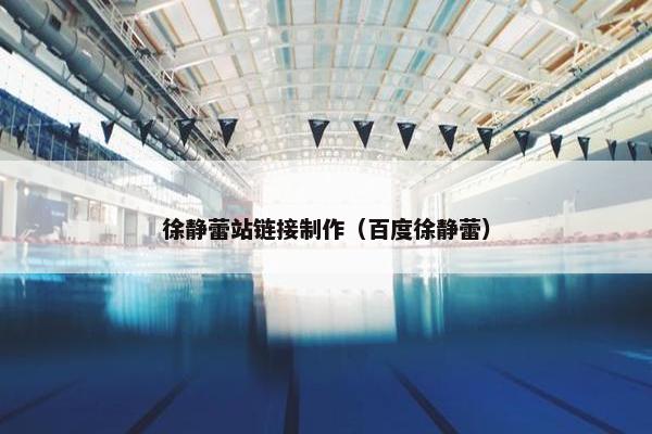 徐静蕾站链接制作（百度徐静蕾）