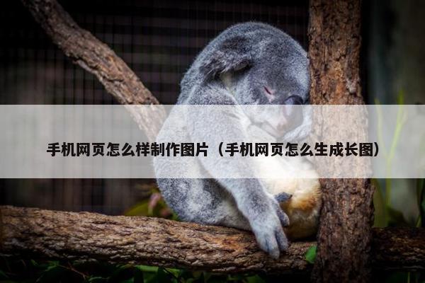 手机网页怎么样制作图片（手机网页怎么生成长图）