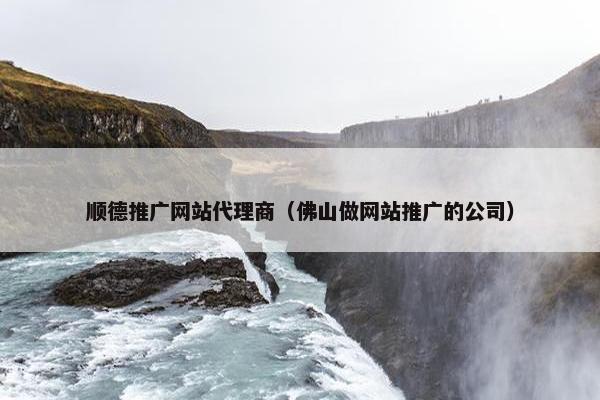 顺德推广网站代理商（佛山做网站推广的公司）