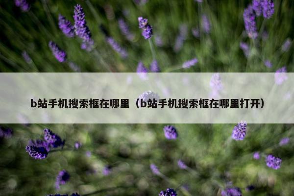 b站手机搜索框在哪里（b站手机搜索框在哪里打开）