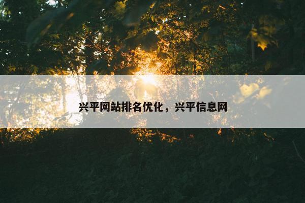 兴平网站排名优化，兴平信息网