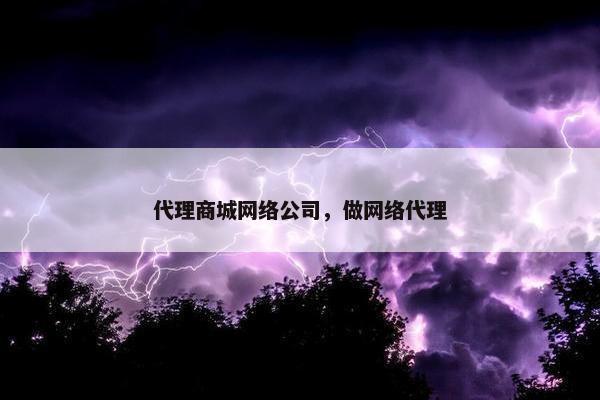 代理商城网络公司，做网络代理