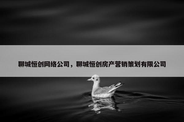 聊城恒创网络公司，聊城恒创房产营销策划有限公司