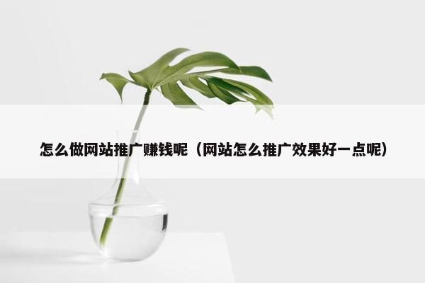 怎么做网站推广赚钱呢（网站怎么推广效果好一点呢）