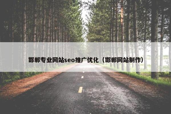 邯郸专业网站seo推广优化（邯郸网站制作）
