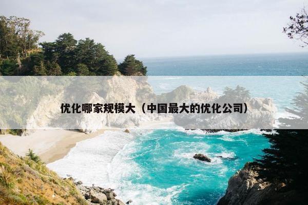 优化哪家规模大（中国最大的优化公司）