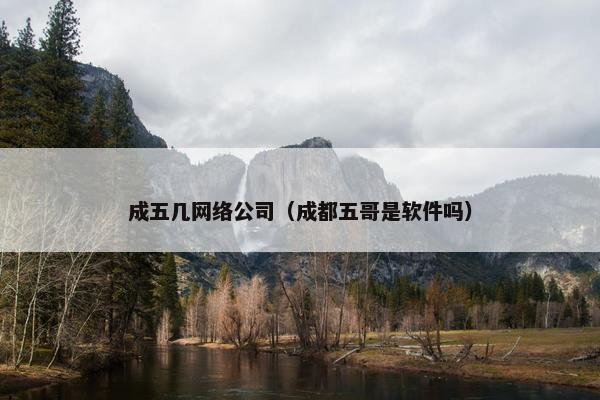 成五几网络公司（成都五哥是软件吗）