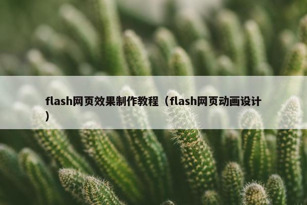 flash网页效果制作教程（flash网页动画设计）