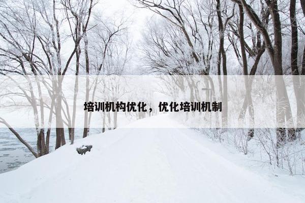培训机构优化，优化培训机制