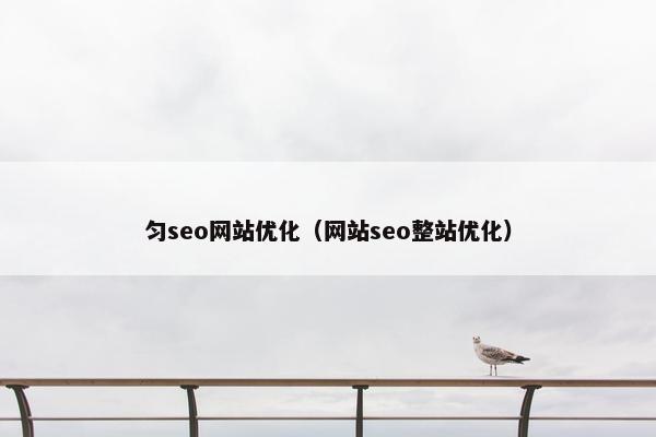 匀seo网站优化（网站seo整站优化）