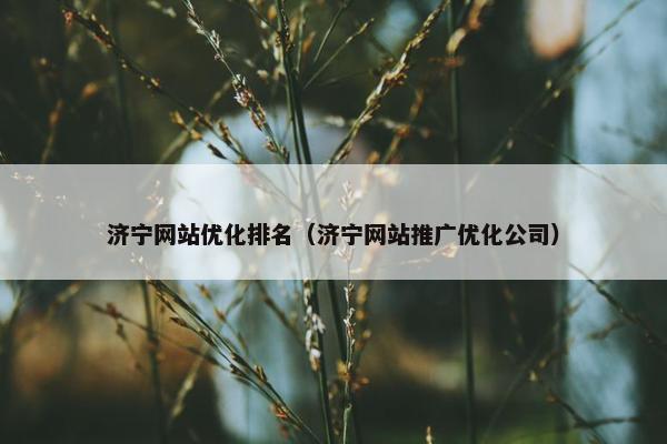 济宁网站优化排名（济宁网站推广优化公司）
