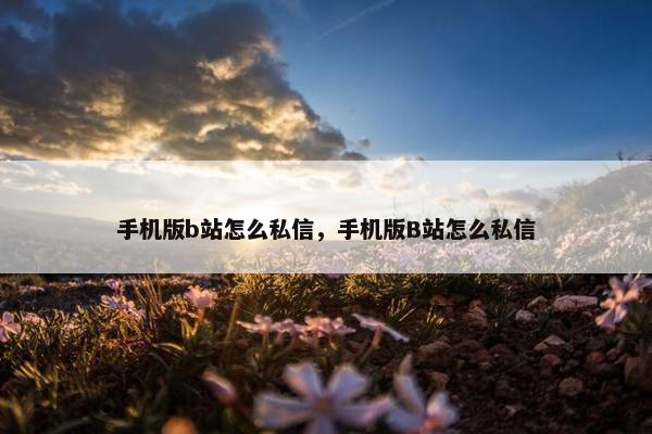 手机版b站怎么私信，手机版B站怎么私信