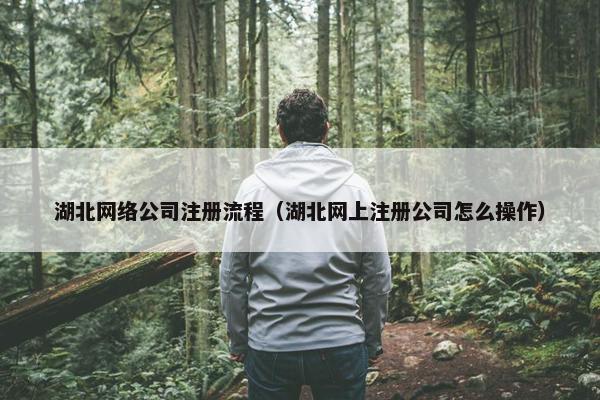 湖北网络公司注册流程（湖北网上注册公司怎么操作）